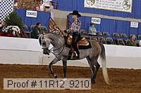 11r12_9210 proof