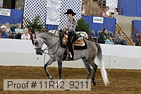 11r12_9211 proof