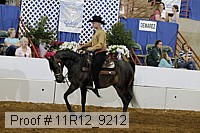 11r12_9212 proof