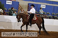 11r12_9213 proof
