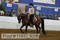 11r12_9215 proof
