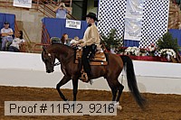 11r12_9216 proof