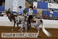 11r12_9217 proof