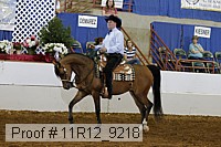 11r12_9218 proof