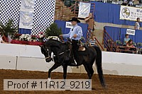 11r12_9219 proof