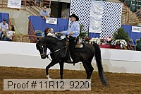 11r12_9220 proof