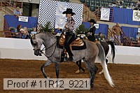 11r12_9221 proof