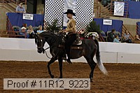 11r12_9223 proof