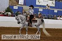 11r12_9224 proof
