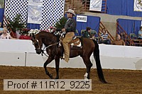 11r12_9225 proof