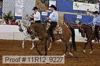 11r12_9227 proof
