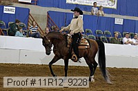11r12_9228 proof