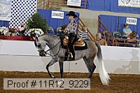 11r12_9229 proof