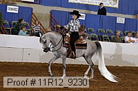 11r12_9230 proof