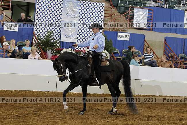 Proof 11r12_9231