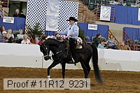 11r12_9231 proof