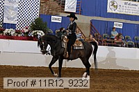 11r12_9232 proof