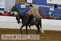 11r12_9233 proof