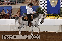 11r12_9235 proof