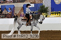 11r12_9236 proof