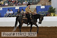 11r12_9237 proof