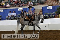 11r12_9238 proof