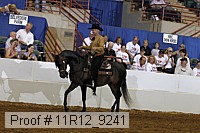 11r12_9241 proof