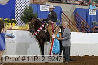 11r12_9247 proof