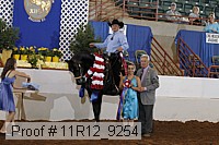 11r12_9254 proof