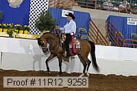 11r12_9258 proof