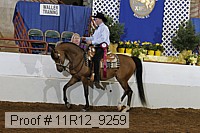 11r12_9259 proof