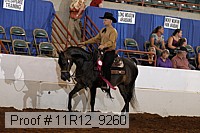 11r12_9260 proof