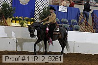 11r12_9261 proof