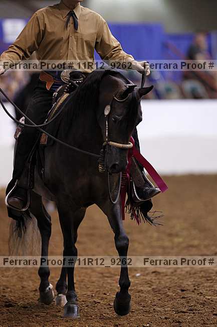 Proof 11r12_9262