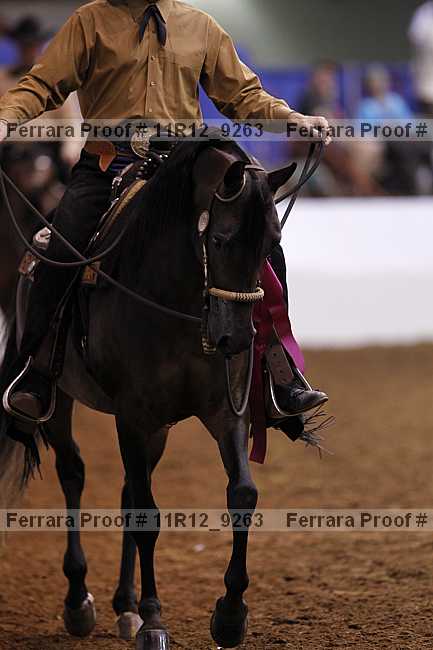 Proof 11r12_9263