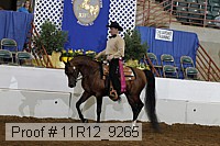 11r12_9265 proof