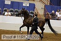 11r12_9293 proof