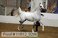 11r12_9294 proof