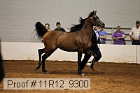 11r12_9300 proof