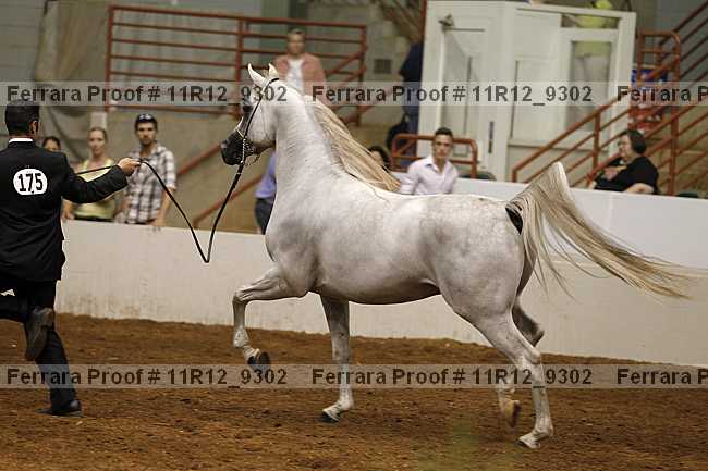Proof 11r12_9302