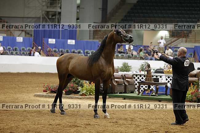 Proof 11r12_9331
