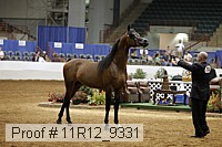 11r12_9331 proof