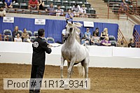 11r12_9341 proof