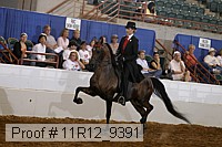 11r12_9391 proof