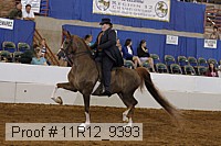 11r12_9393 proof