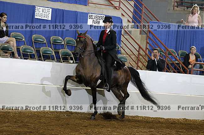Proof 11r12_9396
