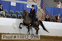 11r12_9396 proof