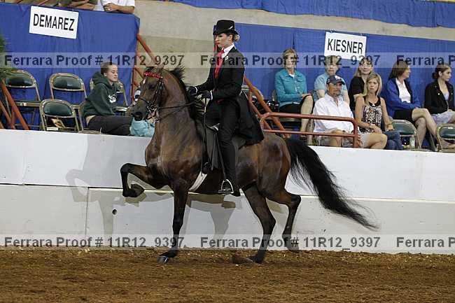 Proof 11r12_9397