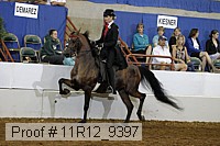 11r12_9397 proof