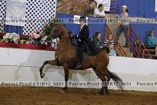Proof 11r12_9401